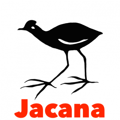 Jacana